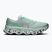 Herren-Laufschuhe On Cloudmonster 3 brook/flurry