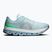 Herren-Laufschuhe On Cloudflow 5 flurry/wash