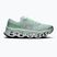 Laufschuhe für Damen On Cloudmonster 3 brook/flurry