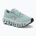 Laufschuhe für Damen On Cloudmonster 3 brook/flurry