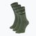 Socken SCOTT Retro Casual Crew 3 pairs tranguil green