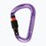 Karabiner Mammut Classic HMS Screwgate screw gate/alpine calamint