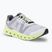 Laufschuhe Herren On Running Cloudgo frost/hay