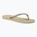 Damen Havaianas Slim sandgrau / hellgoldene Flip Flops