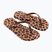 Damen Zehentrenner Ipanema Animal Print beige/bronze/bronze