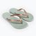 Flip-Flops Damen Ipanema Anat Tan green/gold