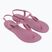 Sandalen Damen Ipanema Class Linea lilac/lilac/burgundy