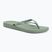 Damen Zehentrenner Ipanema Anat Colors green