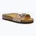 Slides Schlappen  Damen Scholl Estelle Sue dark Beige