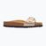 Scholl Estelle Laminated taupe Damen-Flip-Flops