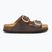 Damen-Flip-Flops Scholl Noelle Synthetik Reptil braun