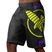 Hayabusa Icon Fight MMA Shorts schwarz und gelb ICFS-BK-L