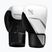 Boxhandschuhe Hayabusa E1 Boxing white/silver