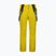 Skihose Herren CMP 3in17397N gold green