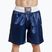 Herren Boxshorts LEONE 1947 Color Block blue