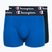 Herrenboxershorts Champion Trunk Knit royal /blue/navy
