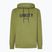 Herren Oakley PO Hoodie fern