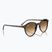 Sonnenbrille Ray-Ban Bernard havana/brown gradient