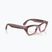 Brille mit Kamera Ray-Ban Meta Zena milky pink blush/trs grey