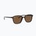 Sonnenbrille Ray-Ban Leonard tortoise/brown polarized