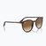 Sonnenbrille Ray-Ban RB2204 havana/light brown