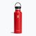 Hydro Flask Standard Flex 620 ml Goji-Reiseflasche