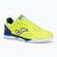 Fußballschuhe Herren Joma Top Flex Rebound IN yellow/royal