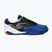 Fußballschuhe Herren Joma Cancha TF royal