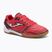 Fußballschuhe Herren Joma Dribling IN fuchsia