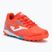 Kinder-Fußballschuhe Joma Propulsion Jr TF orange