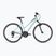 Kellys Clea 30 mintgrünes Damen Crossrad