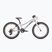 Kinderfahrrad Superior RACER 20 gloss grey