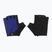 Rogelli Core blau Herren Radhandschuhe