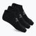 Herren-Socken SKECHERS Microfiber Non Terry No Show 3er-Pack black/white