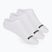 Kindersocken SKECHERS Non Terry No Show 3 Paare white traditional