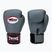 Boxhandschuhe Kinder Twins Special BGVS3 grey