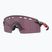 Oakley Encoder Strike Giro D'Italia giro rosa Streifen/prizm Straße schwarz Sonnenbrille