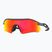 Oakley Radar Plate mattem Kohlenstoff/prizm Rubin Sonnenbrille