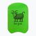 Schwimmbrett Funky Trunks Training Kickboard the goat