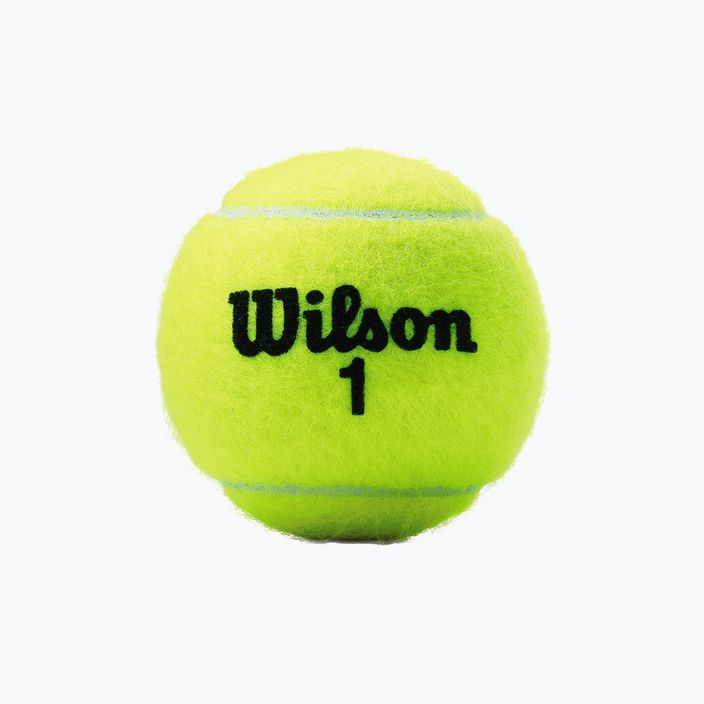 Wilson Champ Xd Tball Tennisbälle 3 Stück gelb WRT100101 2