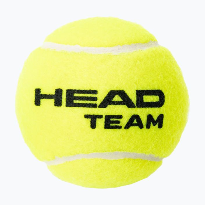 HEAD Team Tennisbälle 4 Stück gelb 575704 2
