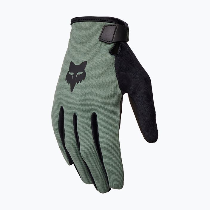 Herren Radhandschuhe Fox Racing Ranger jägergrün