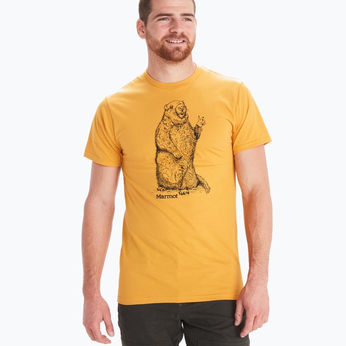 Marmot Peace Herren-Trekkinghemd gelb M13270 3