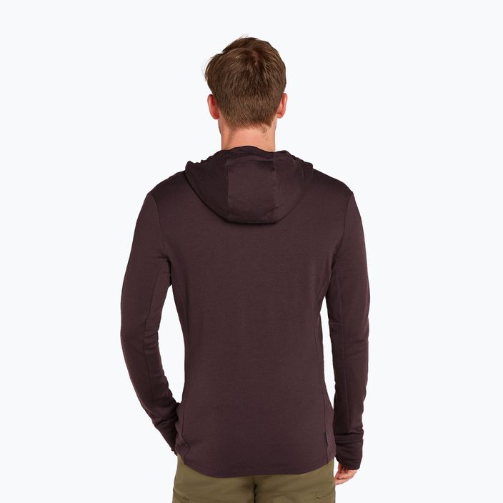 Icebreaker Merino 260 Quantum IV Zip Hoodie für Herren bittersüß 3