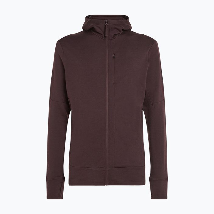 Icebreaker Merino 260 Quantum IV Zip Hoodie für Herren bittersüß 11