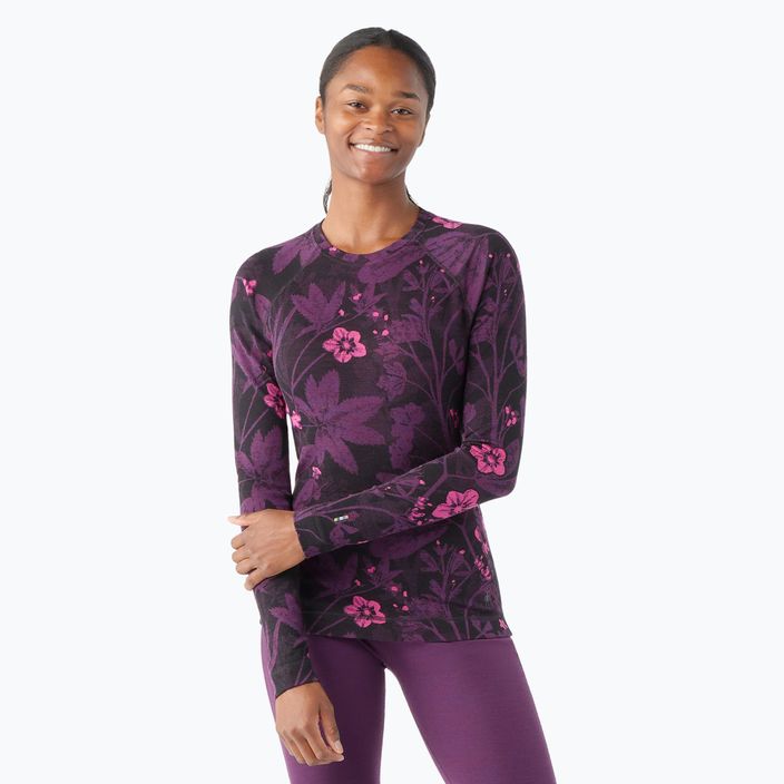 Frauen Smartwool Merino 250 Baselayer Crew Boxed lila Iris floral thermische Longsleeve