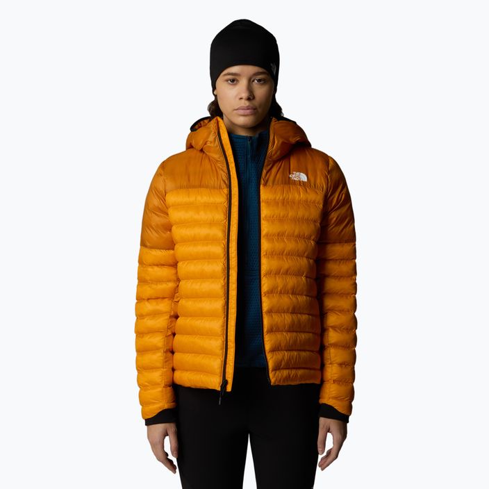 Damen Daunenjacke The North Face Terra Peak Hoodie Aprikose Glasur / Eisen Zitrus 4