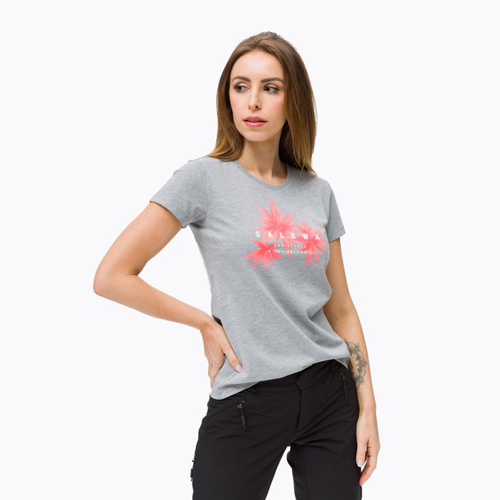 Damen-Trekking-T-Shirt Salewa Lines Graphic Dry grau 00-0000028064