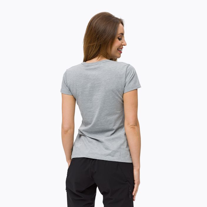 Damen-Trekking-T-Shirt Salewa Lines Graphic Dry grau 00-0000028064 4