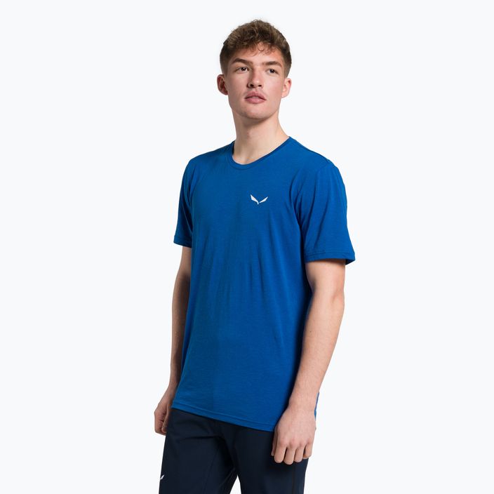 Herren-Trekking-T-Shirt Salewa Alpine Hemp Logo blau 00-0000028132